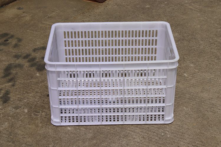 620（白色）（1.9kg）